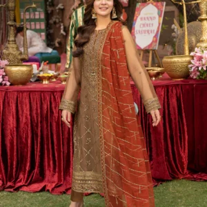 AJMJB-10 EMBROIDERED NET STITCHED 3 PCS